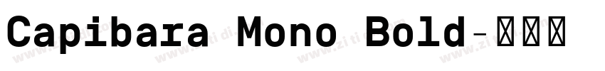 Capibara Mono Bold字体转换